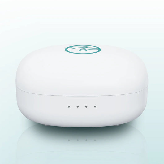 Luxury Charging Case
